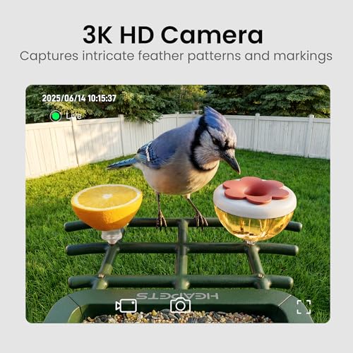 Bird Feeder with Camera Solar Powered, 3K HD Video, AI Bird Recognition, Auto Capture with Instant Notifications, IP65 Weatherproof, Gifts for Seniors Bird Watchers, Brown - color: Brown-3K