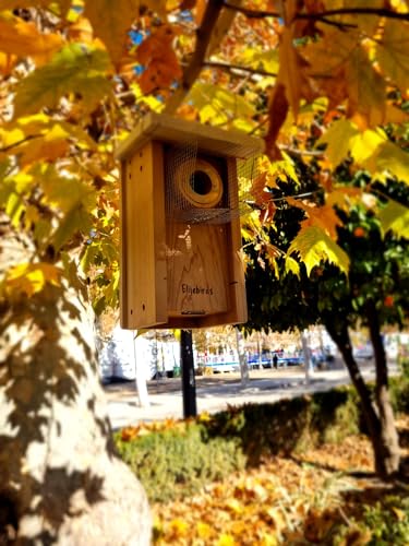 Premium Cedar Bluebird House for Outside - Wooden Bird Box with White Painted Roof & Noel Guard Predator Protection - Durable Birdhouses for Outdoors & Blue Bird Nesting