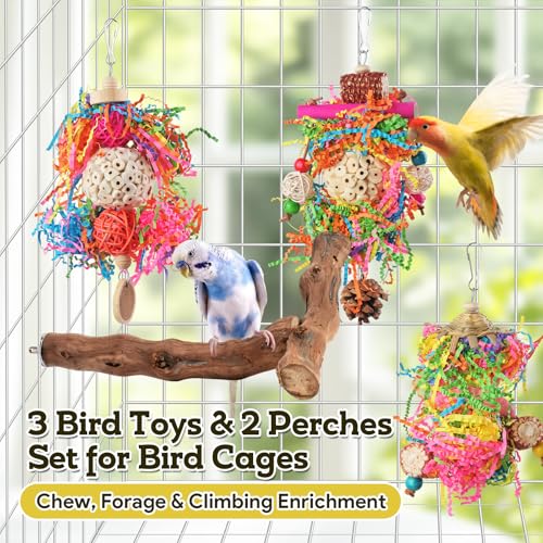 Bird Toys, Parakeet Foraging Toys, Hanging Chewing Toys with Natural Wooden Perches, Bird Cage Accessories, Suitable for Parakeets, Cockatiels, Budgies, Lovebirds & More - color: 5 pieces sola