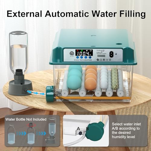 Egg Incubator for Hatching 16 Eggs|24 Quail Eggs, All-in-One Auto Incubator | Automatic Egg Turning, Precise Temperature Control, Stable Humidity Control, Adjustable Rollers for Duck, Goose, Pigeon Eggs
