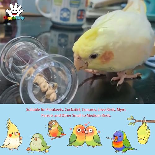 Bird Foraging Toys with Feeder Ball, Durable Plastic Parrot Training Puzzle & Interactive Treat Dispenser for Cockatiels, Conures, Parakeets, Budgies(Pack 3) - color: green