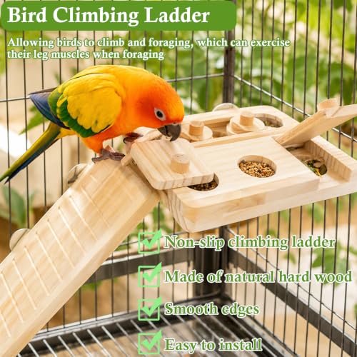 FlidRunest Wooden Bird Foraging Puzzle Platform with Climbing Ladder for Parrots, Parakeet, Cockatiel, Sun Conures - Birds Interactive Mental Enrichment Toy, Bird Seed Slow Feeder Toy for Cage