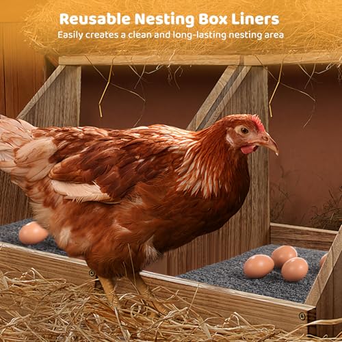 12 Pack Chicken Nesting Pads, Washable Nesting Box Liners for Chicken Coop, Reusable Plastic Nest Box Pads, Cuttable Chicken Laying Mats, 12×12×0.8”