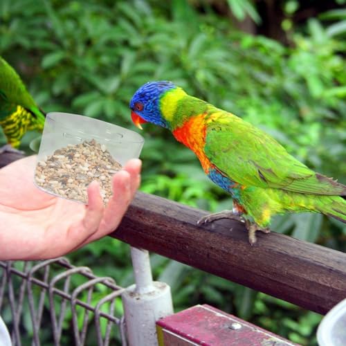 Bird Seed Storage Container,2.8L Airtight Bird Food Container with Handle and Measuring Cup,Portable Pet Food Container for Wild Bird Sunflower Seed-BPA Free Transparent/Blue - color: BLUE BIRD