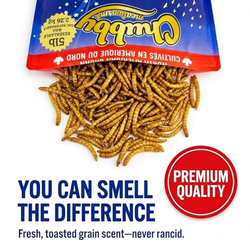 Chubby North American Grown Dried Mealworms | 5 lbs | Non-GMO High-Protein Treats for Chickens, Ducks & Wild Birds – Sustainable Chicken Feed - size: 5 Pound (Pack of 2)