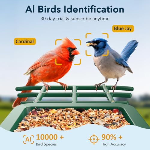 PeckCam® Bird Feeder with Camera Solar Powered 2K Live Video Auto Capture | AI Bird Species Identification, Instant App Alert, IP65 Waterproof, Easy Setup, Backyard Bird-Watching, Gift for Bird Lovers - color: Green