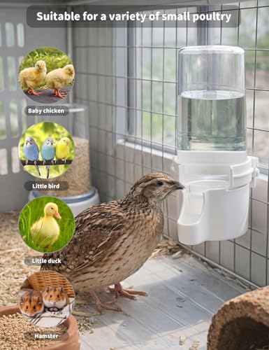 Quail Chick Waterer with Anti-Drowning Shallow Tray, 16.6 fl oz Automatic Gravity Button Quail Waterer, Hanging or Free-Standing Bird Water Dispenser for Wire Mesh Cages and Brooders (White) - color: White