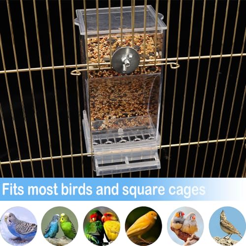 Bird Parrot Feeders, No Mess Automatic Cage Feeder Dispenser Food Container, Auto Bird Seed Bowl for Small Medium Birds, Cockatiel Canary Cockatoos Parakeet Conure Lovebird, Acrylic Clear (Feeder)