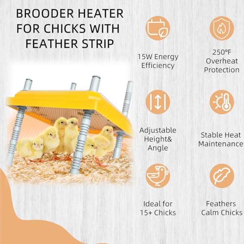 Chick Brooder Heating Plate Brooder Heat Plate for Chicks Ducklings with Feathers 10×10 Inch 15W Adjustable Height & Angle Easy Cleaning Chicks Heater