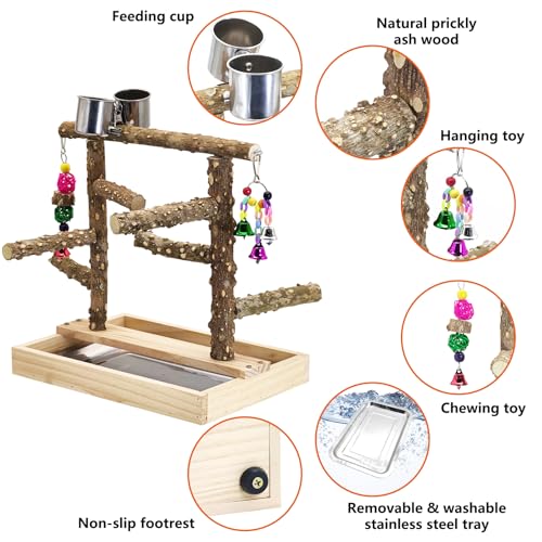 BNOSDM Natural Wood Bird Playground for Training & Playing, Parrot Perch Stand Jungle Gym with Detachable Tray & Stainless Feeder Cups Parakeet Cage Playstand for Budgie, Cockatiel, African Grey - color: Double Column Bird Stand