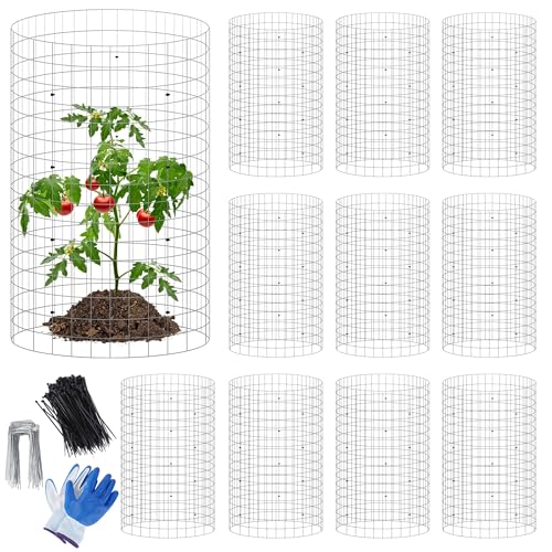 winemana 12 Set Plant Protectors from Animals, Plant Cages for Outdoor | 36 Pcs 16x12 IN Metal Wire Plant Protector with Stakes Nylon Ties to Keep Rabbit Chicken Away from Tomato Flower Vegetables - color: Silver, size: 16 IN x12 IN
