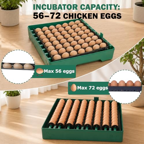 72 Eggs Hatching Incubator for Chicken/Duck/Quail | Automatic Egg Turner, Humidity Control, Digital Temp, 360° Clear View, Ideal for Lab School Farm