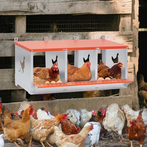 3 Bay Metal Nesting Box, Orange Wall Mount Chicken Nest for Hens & Ducks, Heavy Duty Galvanized Steel with Hen-Shaped Vents & Coconut Fiber Pad, Easy Tool-Free Assembly (Orange/Silver) - size: 31.8"L x 17.0"W x 15.0"H