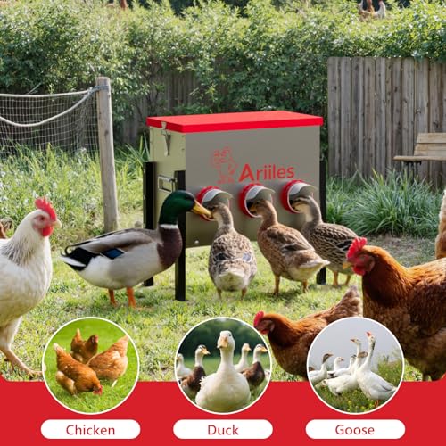 Automatic Chicken Feeder, Metal Poultry Feeder, Chicken Feeders | 40LB Poultry Feeder With Stand & 6 Ports. Includes Bonus Vegetable Net, Feeder Sealant And Anchor Stakes For Chicken.