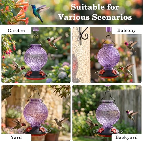 25 OZ Glass Hummingbird Feeder for Outdoors, Leak Proof Hummingbird Feeder with Ant Moat, 4 Bee Resistant Feeding Ports, Easy Clean Wide Mouth Design, Hanging Nectar Feeder, Purple - color: Purple - 25oz