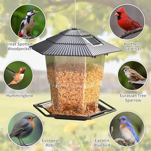 Solar Bird Feeder for Outdoors Hanging,Hanging Wild Bird Feeders with S Hook for Blue Bird, Cardinals, Finches,Wild Birds Seed Feeder, As Gift for Bird Lovers（Black） - color: Black Solar Bird Feeder