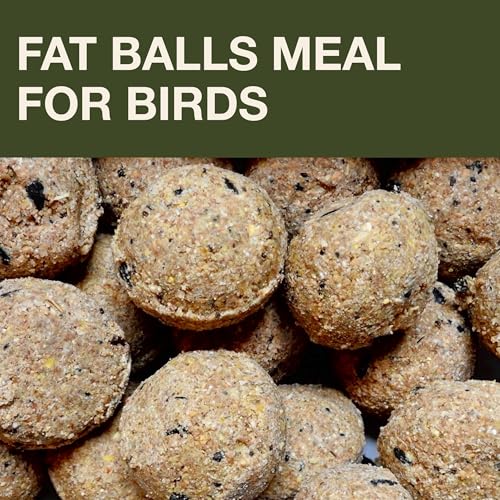 SWISSINNO Bird Feeders - No Mess Fat Ball/Suet Feeder for Outdoors Hanging - Smart Birds Lucerne Spill Proof Wild Cardinal Bird Feeder with Integrated Seed Catcher Tray - Green - color: Green, style: Lucerne
