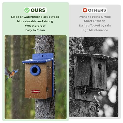 Kingyard Bluebird House, Outdoor Bird House with Predator Guard | Recycled poly lumber nesting box with a 1.5-inch entrance hole, clear viewing panel, bottom ventilation holes