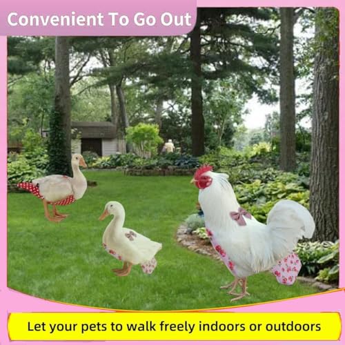 MANON ROSA Chicken Diapers Bantam Hens - Reusable 6-Piece Set with Bow Ties Poultry Nappies Washable Waterproof for Geese Pet Ducks Silkie (6D M) - size: Medium