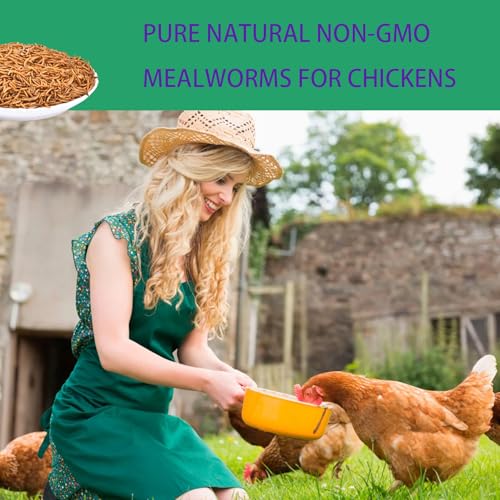 Dried Mealworms for Chickens 5LB Meal Worms for Laying Hens Wild Birds | Pure Natural Non-GMO High Protein - size: 5 Pound (Pack of 1)