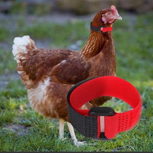 4Pcs Crow Rooster Collars, Adjustable Nylon Anti-Noise Neck Belt for Chickens and Poultry Birds, Humane Crow Collar to Prevent Screaming, Chicken Collar Harness Set