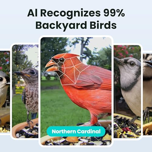 Smart Bird Feeder with Camera for Rookie, Camera Bird Feeder Dual Night Vision, AI Recognition IP66 Waterproof for BirdLovers, 1.3L Capacity - style: AI 7 Day Trial