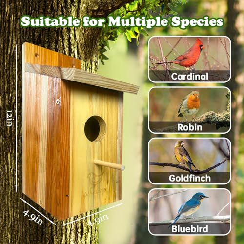 Large Bird House, Bird Houses for Outside Clearance, Cedar Birdhouses for Outdoors, Wood Birdhouse with Secure Latch, Bluebird Houses for Wren Swallow Finch Hummingbird