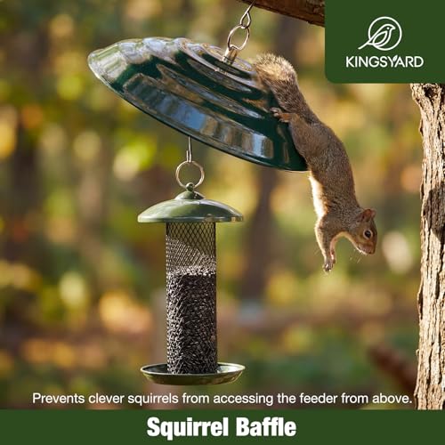 Kingsyard Metal Squirrel Baffle for Bird Feeders Hanging, Rain Guard Cover | 11 in, Chew-Proof & Squirrel-Proof, Ready to Use, Fits Most Feeders Outdoors, Weatherproof, Easy to Clean, Green - color: Green