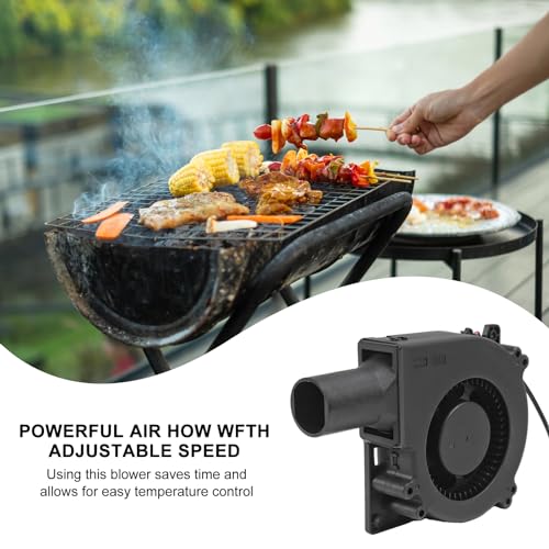120mm BBQ Fan 12V 4.72in Blower Brushless with 110V/120V Variable Speed Controller Fan Air Mover Cooling for Camping Quick Charcoal Starter,Outdoor Barbecues,Camping Cooking (1 Fan+1 Controller) - size: 12032-1pcs