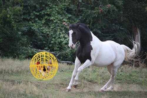 15" Ball-Shaped Movable Chicken Coop,Pigeon Rabbit Duck Safe Walking Net,Preventing Trampled by Horse,Predation by Eagles, Wolves,Dog Bites. Pet Removable Prevent Harassment Safety Hutch - color: Yellow