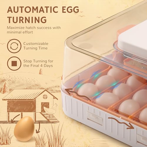 iPettie ProHatch56 Egg Incubator for Hatching Eggs with Automatic Egg Turning & Humidity Temperature Control, 56 Eggs Capacity for Chicken Eggs, Duck Eggs, Quail Eggs, Temperature Alarms