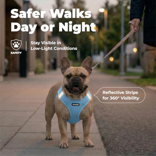 Voyager Step-in Air Dog Vest Harness - Baby Blue, X-Small | 13 - 14.5" in Chest, Reflective Bands, All Weather Breathable Air Mesh, Cats Compatible, Lightweight, Fast Drying - color: Harness (Baby Blue), size: XS (Chest: 13 - 14.5")