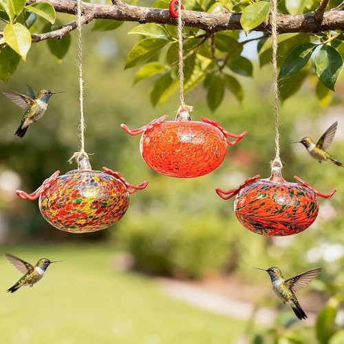 3PCS Glass Hummingbird Feeders for Outdoors Hanging Ant and Bee Proof - color: Color-D