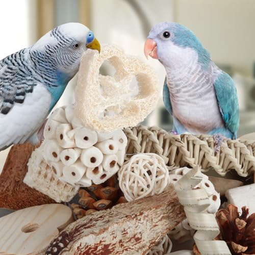 Kyouki Bird Toys Parrot Toys Natural Bird Foraging Box Foot for Parakeets,Cockatiels,Conures,Love Birds,and Other Small to Medium Birds (Medium) - size: Medium