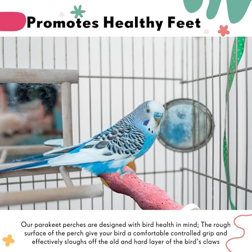 Soulchen 4 Pcs Bird Beak Grinding Calcium Stone Perches Large 4.8 Inch Parrot Teeth Mouth Molar Cage Platform Paw Grinding Sticks Jumping Stand for Macaws Parakeets Finches Cockatiel(Purple,Pink)