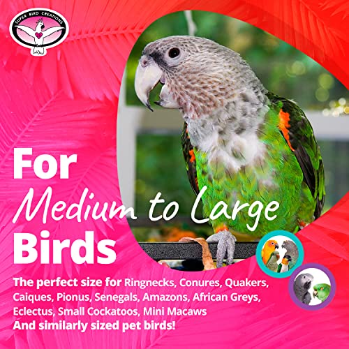 Super Bird Creations SB628 Tape Dispenser Bird Toy - Cardboard Bagel with Machine Paper, Chewable & Shredding Components, Sensory Bell, African Greys Parrots Small Cockatoos, Large Bird Size 14"x5"