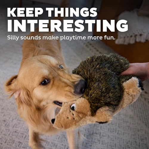 Outward Hound Hedgehogz Plush Dog Toy, Squeaks & Grunts, Large, 12" x 7" | Soft Realistic Faux Fur, Round for Rolling & Chasing, Cuddle & Carry, Interactive Fetch, Light Chewers, Dogs & Puppies - size: Large (Pack of 1)