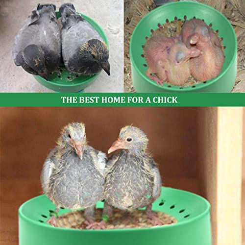 10 Pcs Plastic Pigeon Nest Bird Nest Bowls Pigeon Nest Bowl Breeding Hatching Nest for Pigeons Quails Breeding Hatching