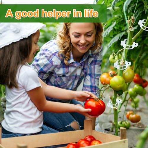 200 Pcs Plant Support Garden Clips, Tomato Clips, Crop Clips for Vine Vegetables, Fixing Tomato, Sweet Pepper, Eggplant, Makes Plants Grow Upright and Healthier - color: White