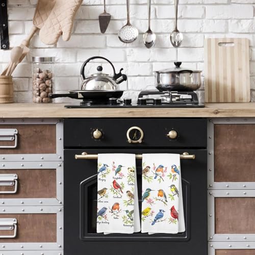 Bird Gifts Kitchen Towels, Gifts for Bird Lovers Women, Birds Birder Dish Towels for Kitchen,Birds Decorative Hand Towels for Bathroom - color: Color-4