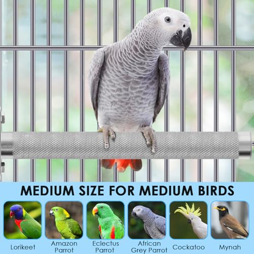 KATUMO Conure Perch - Stainless Steel Bird Stand Rough-surfaced Branch for Small Birds (6 x 0.7 inch) - size: S: 6 x 0.7 inch