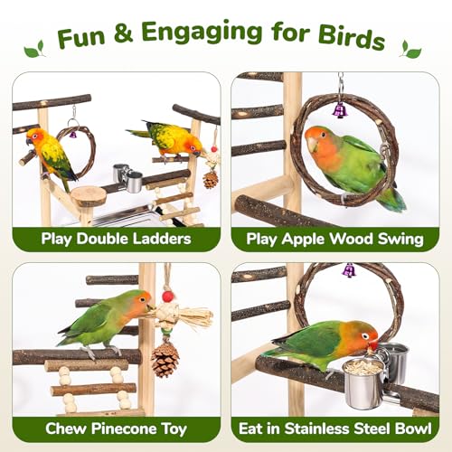 Bird Playground,Parrot Stand with Feeding Cup, Swing, Chew Toys,Removable Tray,Suitable for Small to Medium Birds, Ideal Perch for Budgerigars, Parakeets,Cockatiels
