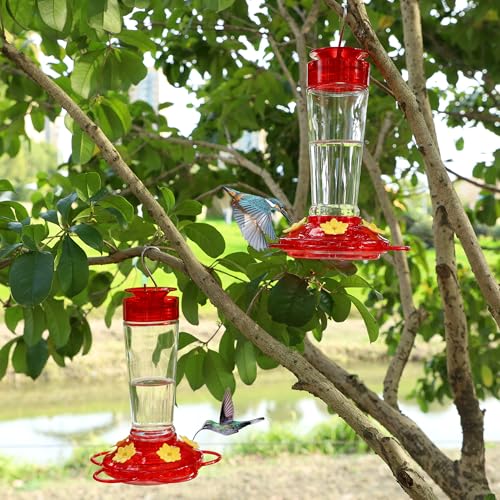 Shrdaepe Hummingbird Feeder, Glass Bottle Bird Feeders, 5 Feeding Ports, 10-Ounce Nectar Capacity, 2 Pack - color: Red & Yellow Flowers