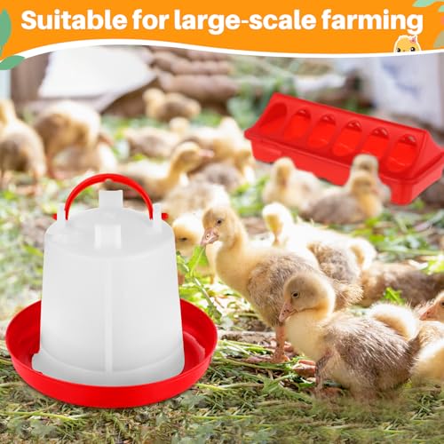 Funnymoom 12 Pack Chicken Feeder and Waterer Set Bird Small Poultry Feeder Flip Top Bird Small Poultry Feeding for Pigeon Chick Drinker Duckling Quail Feeding Dispenser(Red,6 Holes) - color: Red, style: 6 Holes
