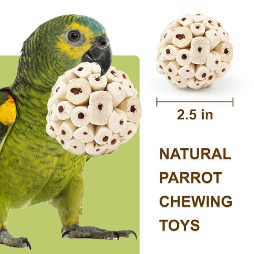 7Pcs Bird Toys for Parrots - Natural Soft Chew Shredding & Foraging Toy for Cockatiel Conure Quaker Parrot Budgie Parakeet Rabbit Bunny Guinea Pig Chinchilla - color: Model 2