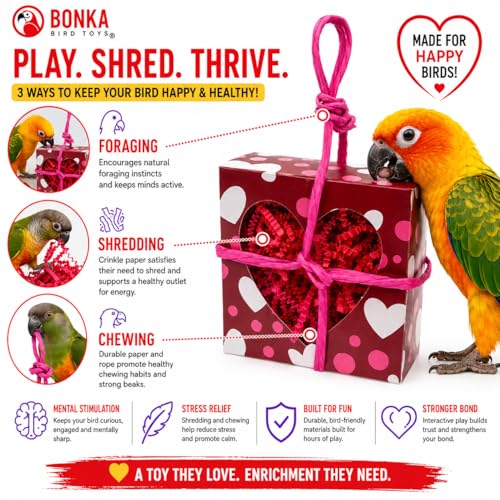 Bonka Bird Toys 2764 Valentine Heart Box Forager 8" x 5" Shreddable Paper and Rope Valentine Treat Toy for Small and Medium Birds Mental Enrichment and Cage Activity Conure Cockatiels and Similar