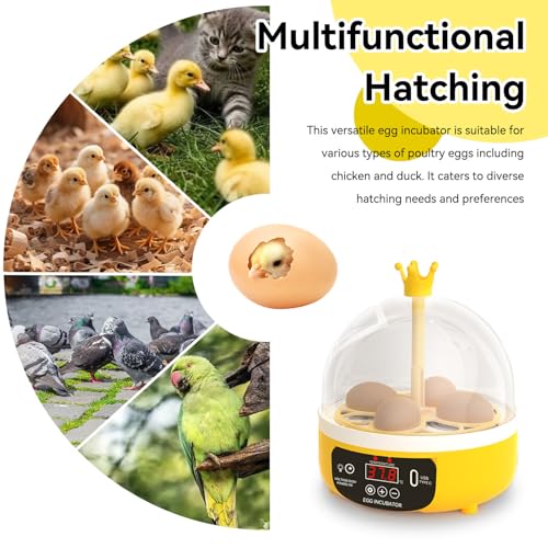 Mini Egg Incubator, 4 Egg Incubator Household Hatching Machine Automatic Temperature Humidity Control for Farm, Classroom, Home Use (Auto Turning) - style: Auto Turning