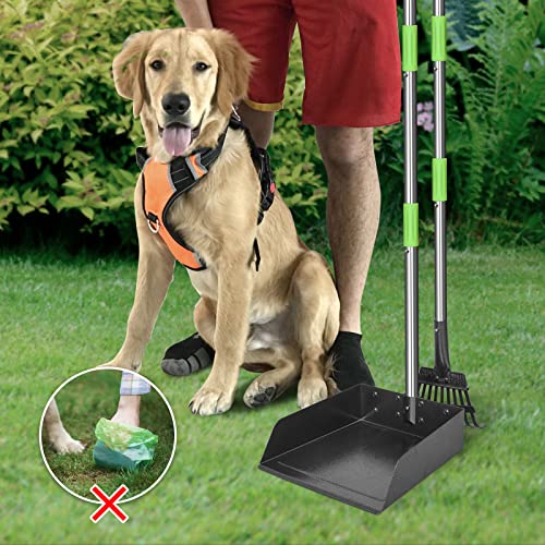 Larger Dog Pooper Scooper for Large Dogs Long Handle Stainless Metal | Tray and Rake Set for Large Medium Small Dogs Heavy Duty (Green) (Extra Large) - size: 2. Rake & Large Tray