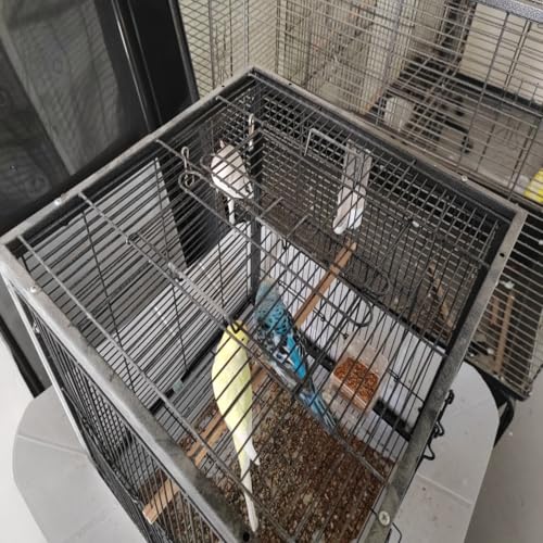 TrailBlaze 17.32" x 16.93" x 6.30" Spacious Black Metal Bird Cages with Pull-Out Tray, Carry Handles, Transparent Cups, Wooden Perches – Ideal for Parakeets, Cockatiels, Canaries, Lovebirds, Conures