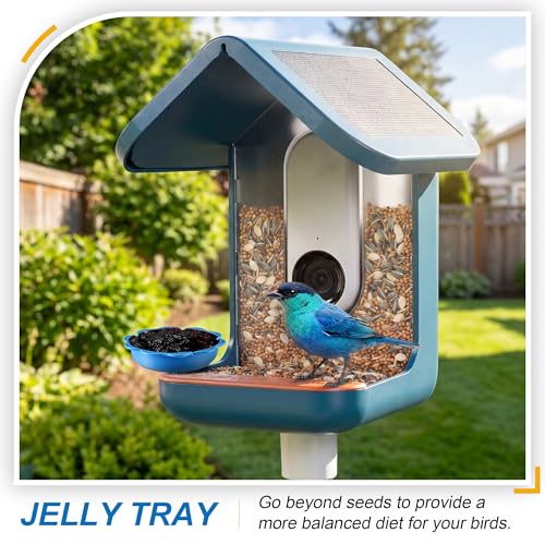 3 in 1 Nutrition Set, Compatible with Bird Buddy Feeders, Outdoor Bird House Accessories with Water Fountain, Fruit Spike & Jelly Tray Feeder, Easy to Attach